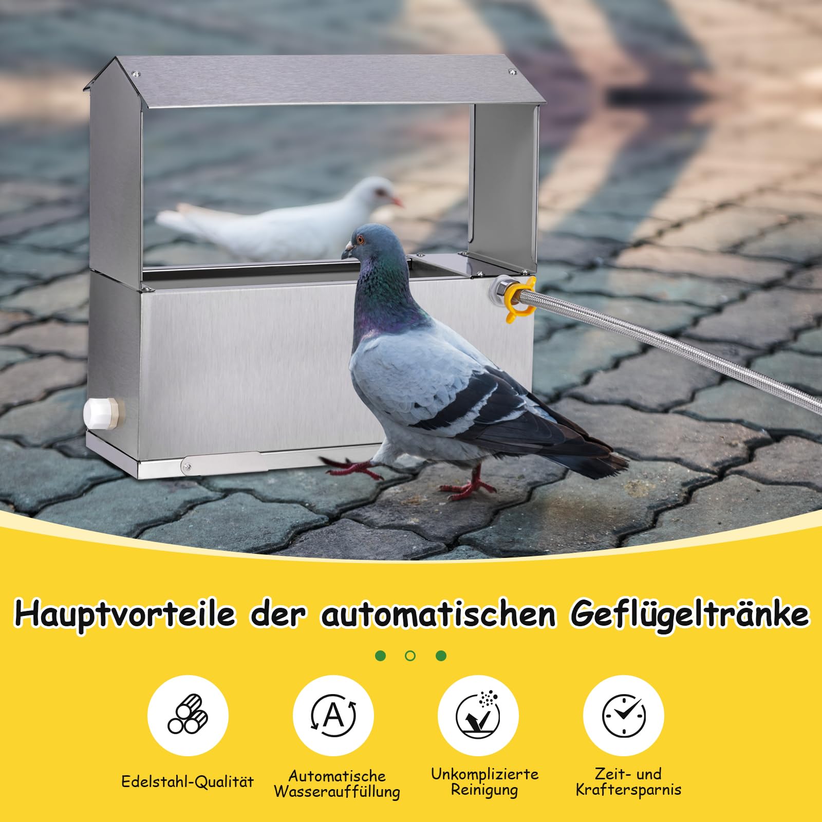 Hühnertränke 9 Liter Edelstahl Automatische Hühnchen Wasserer Automatische Geflügel Wasserer Spender Mit Float Ventil Und Bein Große Kapazität Metall Hühnchen Wasser Für Hühnchen Ente Taube Gans