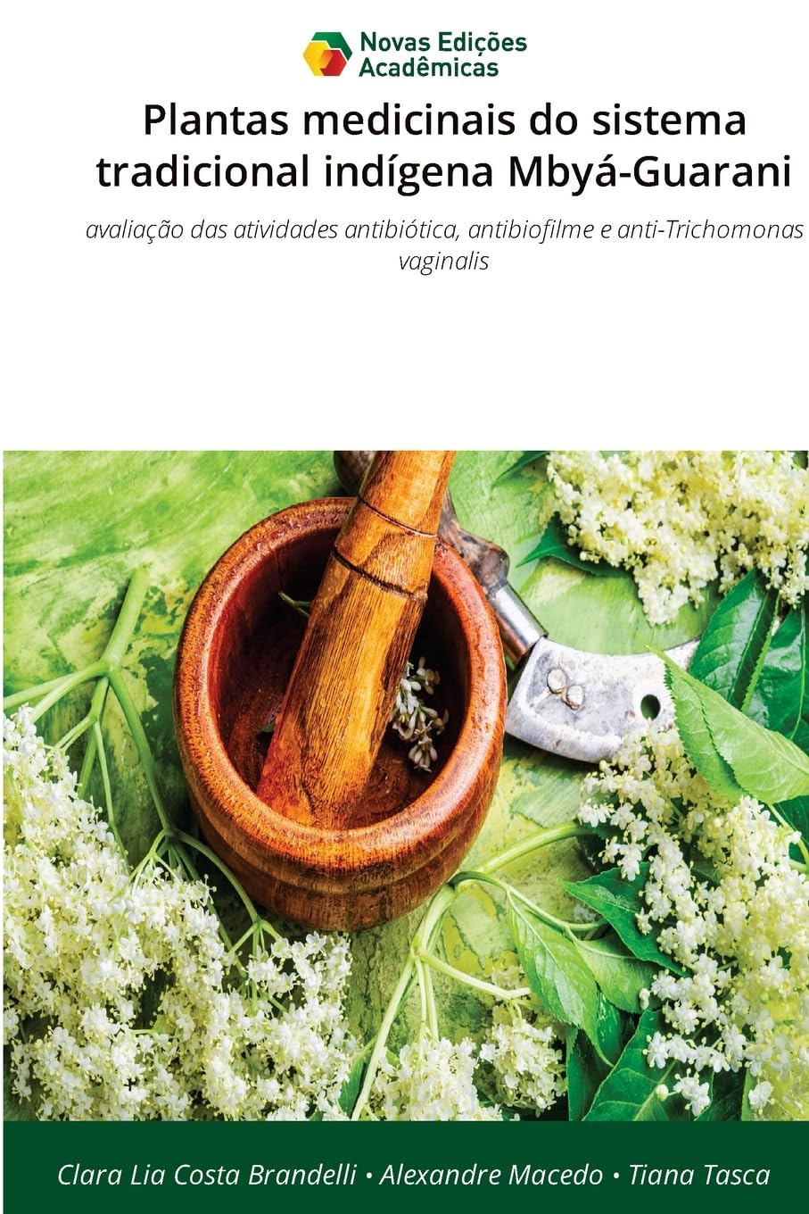 Plantas medicinais do sistema tradicional indígena Mbyá-Guarani: avaliação das atividades antibiótica, antibiofilme e anti-Trichomonas vaginalis