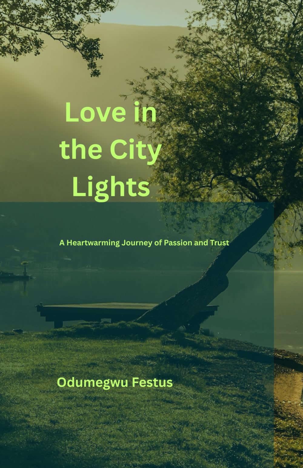 Love in the City Lights: A Heartwarming Journey of Passion and Trust