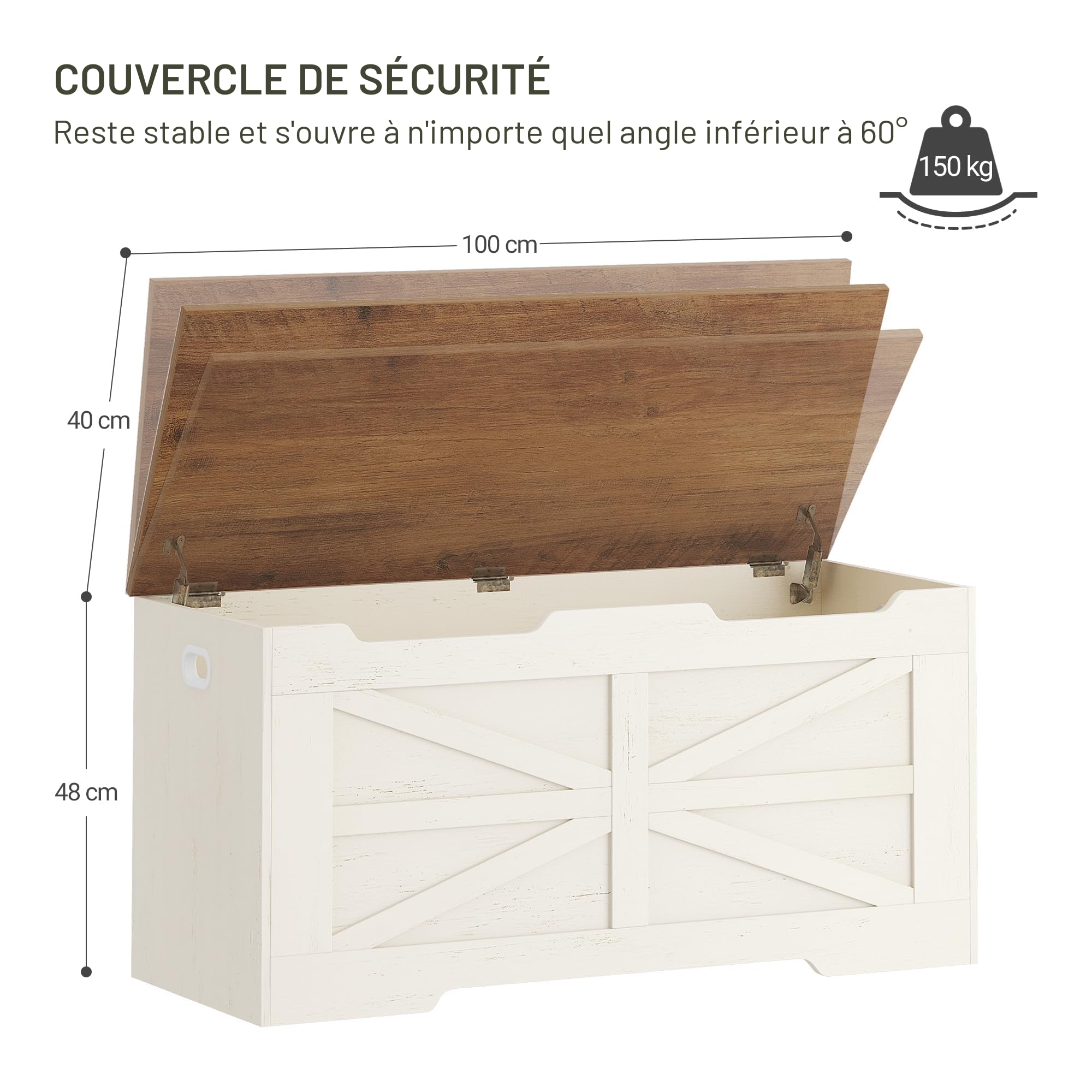Hzuaneri Banc de Rangement, 100 cm Coffre de Rangement, Blanc Marron | 2 Charnières Stables, Banc À Chaussures pour L'entrée, La Chambre, 40 x 100 x 48 cm, Le Salon, SB03414X
