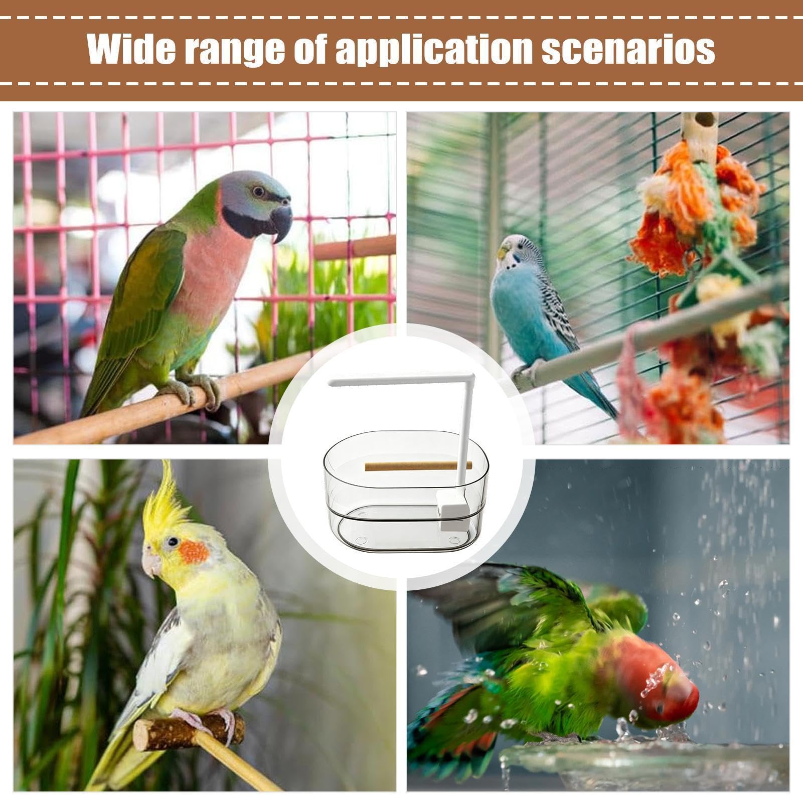 Bain d'oiseau automatique Accessoires Électriques Grands Transparents Pour