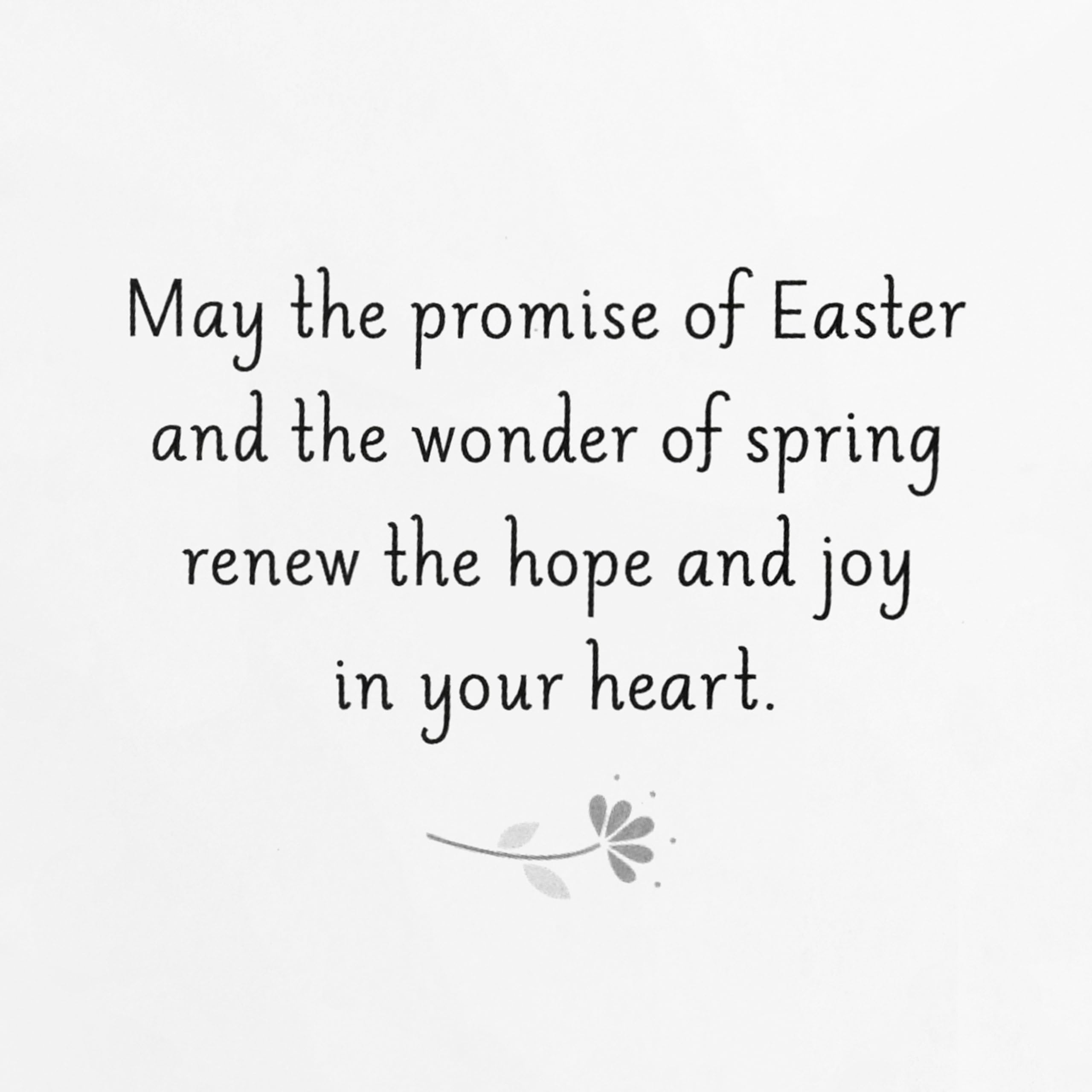 Amazon.com: Hallmark: Easter