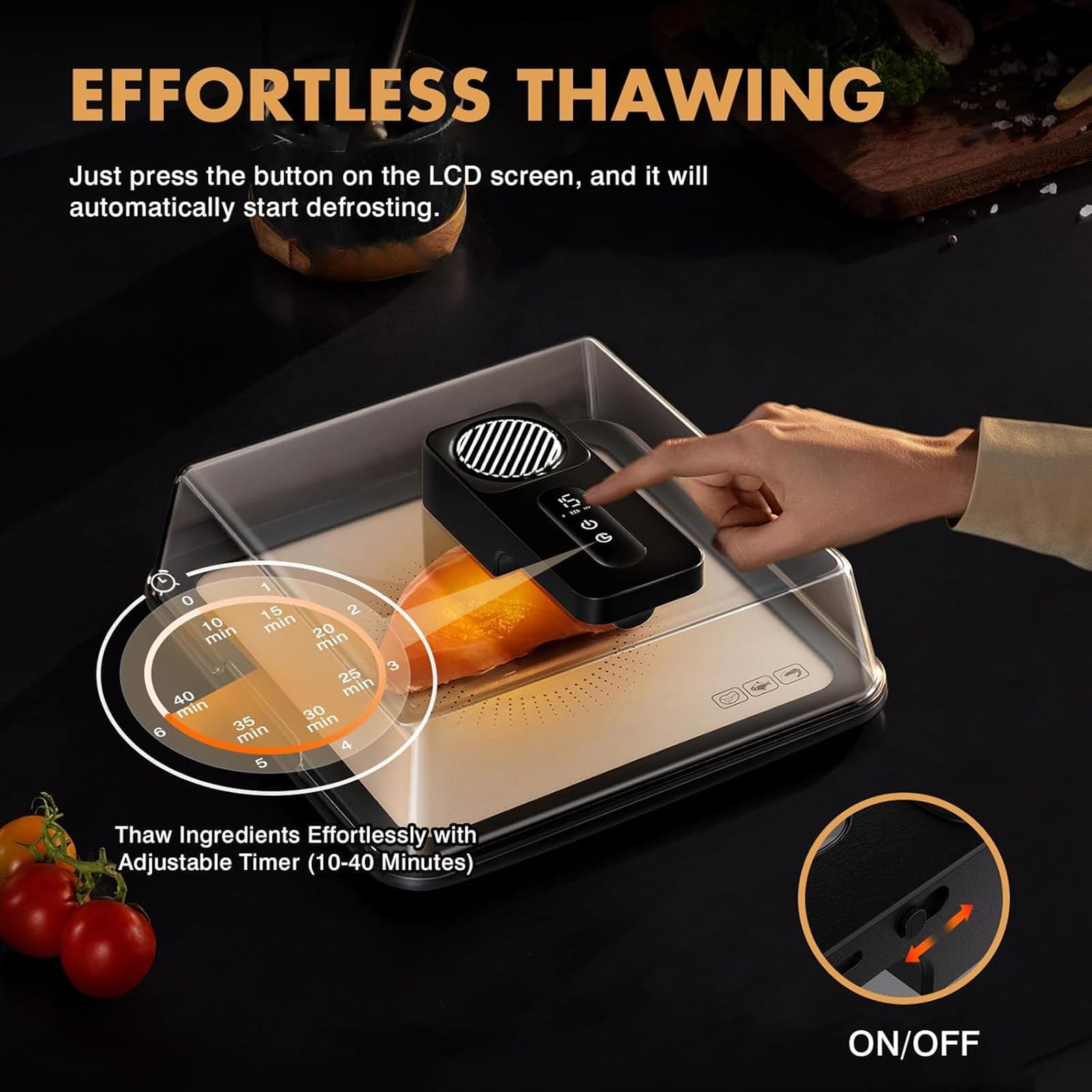 Elektrisches Auftaubrett, Smart Food Defrosting Tray, Schnelles Auftauen in 10 Minuten, USB wiederaufladbar, ideal für Fleisch und Meeresfrüchte, 4,2 l Kapazität