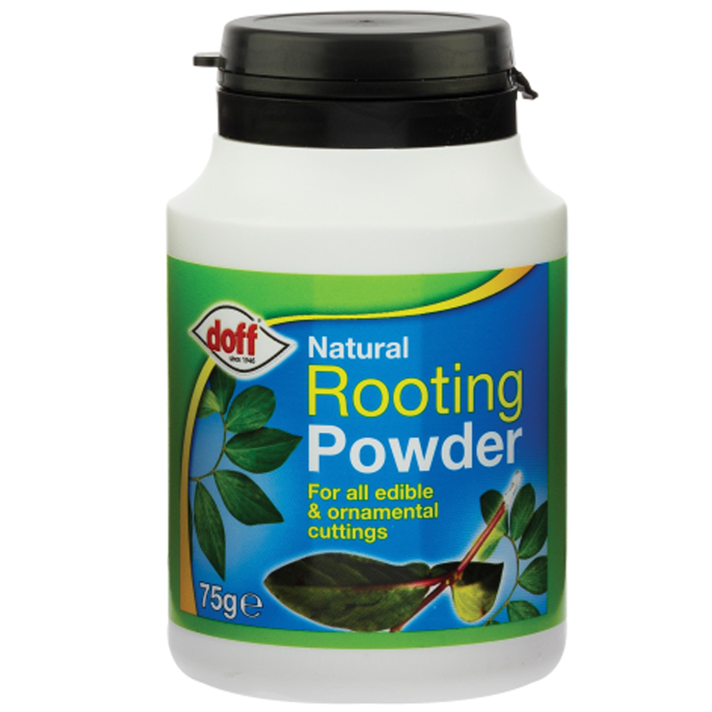 75g, Natural Rooting Powder, Organic Plant Growth Hormone, Stimulates Root Development, Ideal for Cuttings, Seedlings & Transplants, Safe & Easy to Use