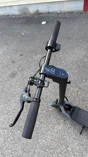 Review Image by Xin