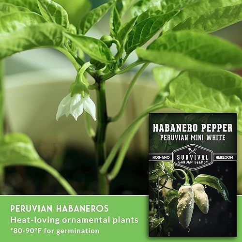 Miniatura 3 de Survival Garden Seeds - Mini semilla de pimiento habanero blanco para plantar - 1 paquete con instrucciones para plantar y cultivar pimientos