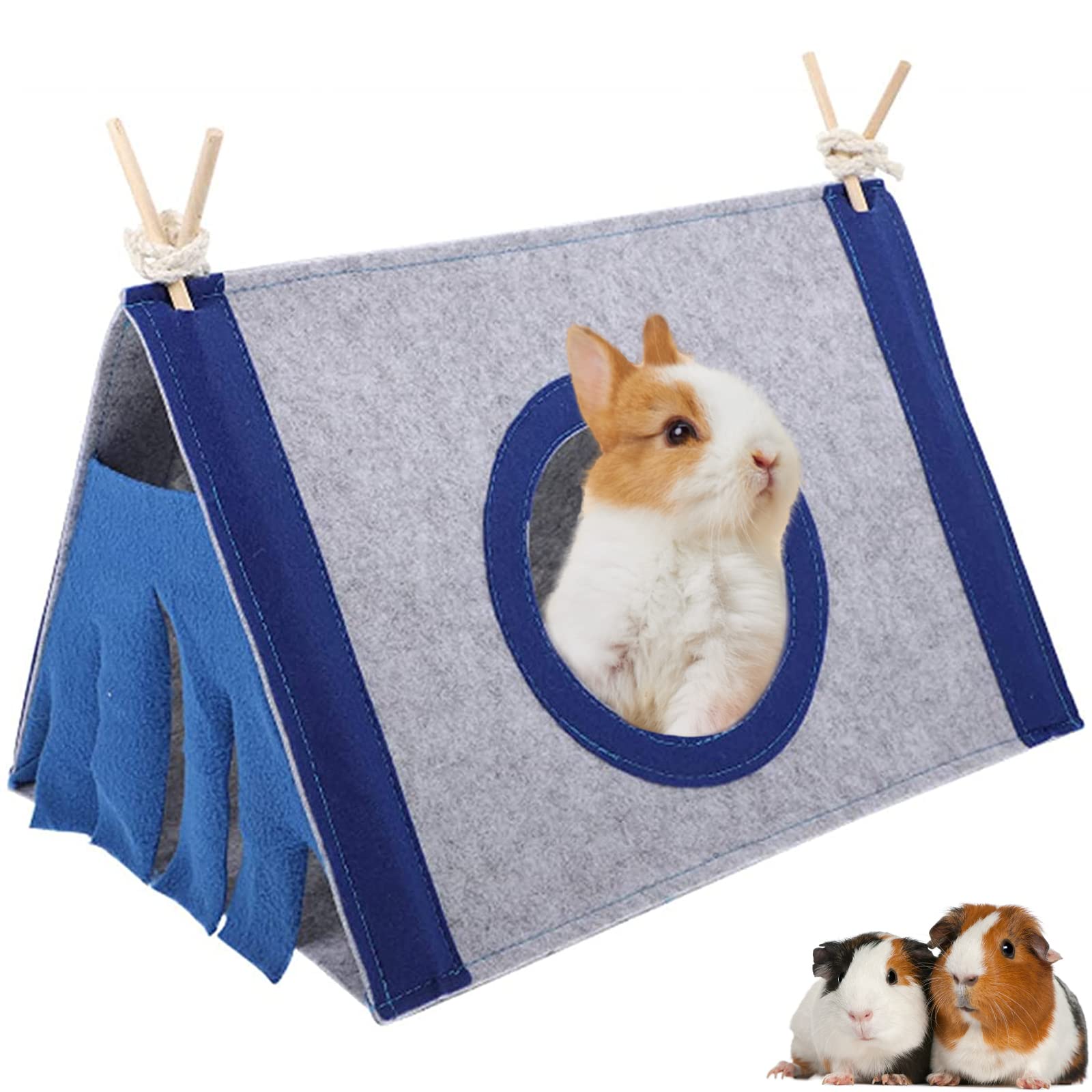 Kleine Kat In Een Kooi Achter De Gevangenis In De Schuilplaats Voor Dieren Sluit Uitzicht Op Schattige Zwarte Met Witte Muzzel Concept 158506749 Kleine Kat In Een Kooi Achter De Gevangenis In De Schuilplaats Voor Dieren Sluit Uitzicht Op Schattige Zwarte Met Witte Muzzel Concept 158506749