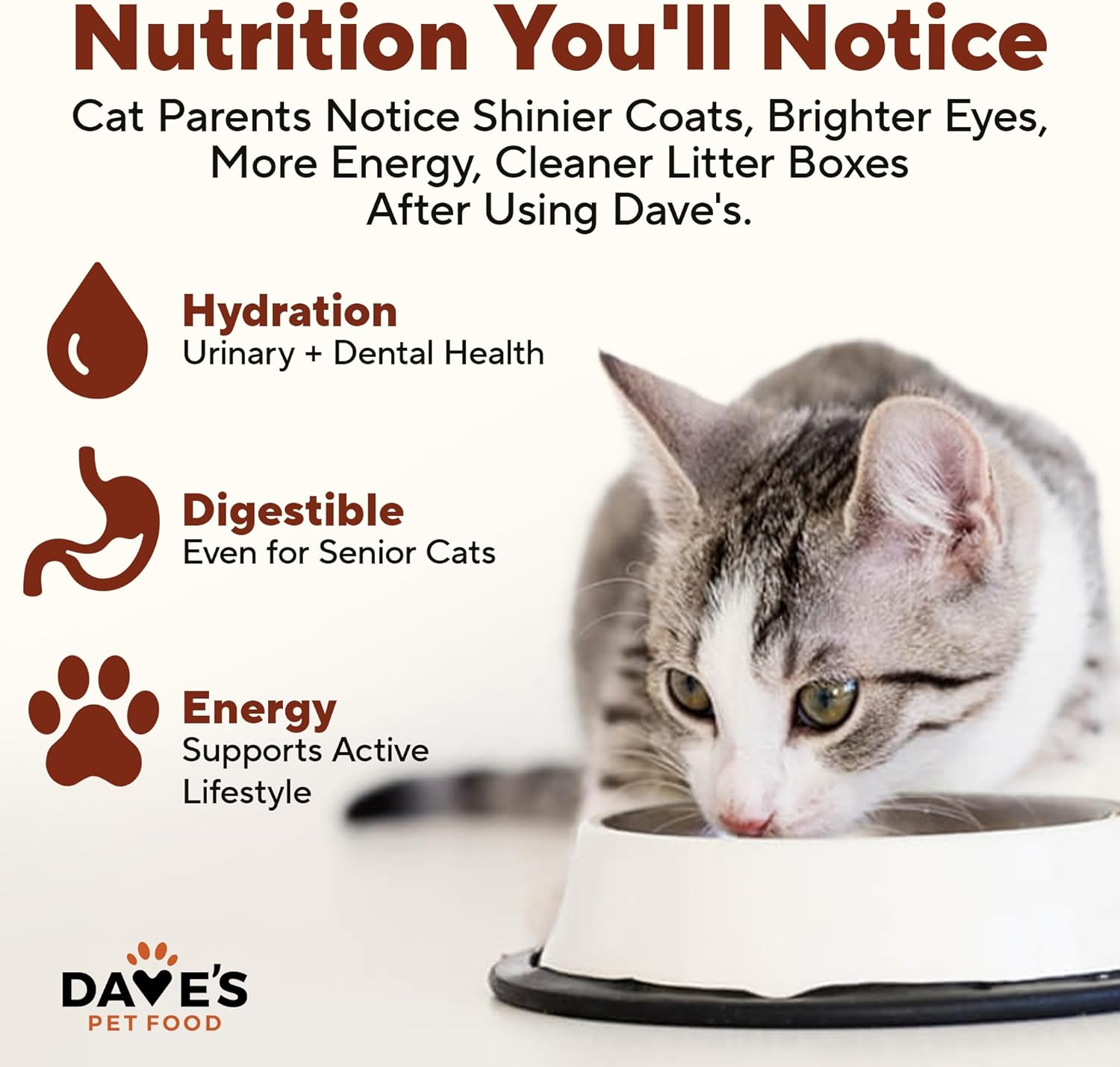 Dave's Pet Food Grain Free Wet Canned Cat Food Pate (Gobblicious Gourmet), Made in USA Naturally Healthy, Added Vitamins & Minerals, 13 oz Cans (12 Pack)