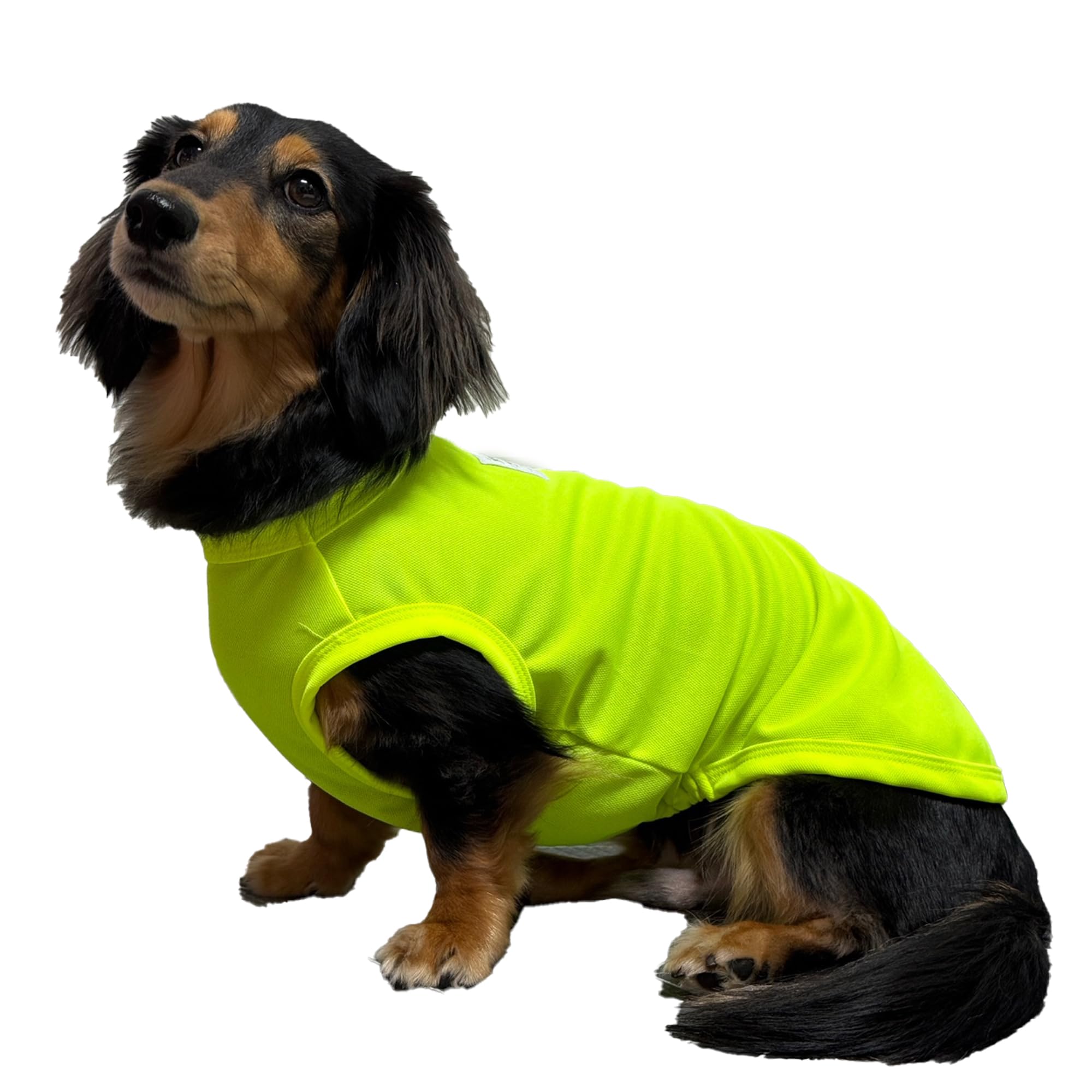 Amazon | D Doggy Star ダックスフンド 服 犬用 ミニと大人用 ネオンT