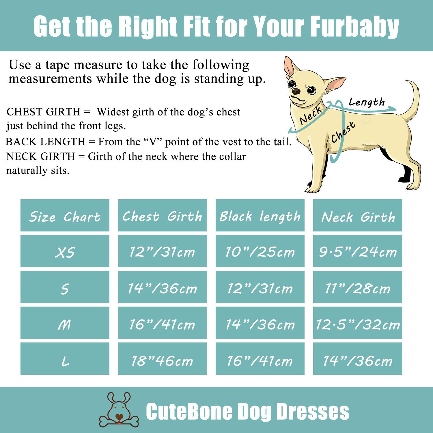 How Do I Know What Size My Dog Wears