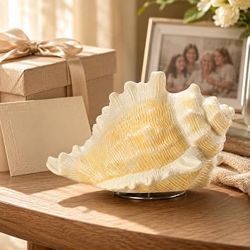 Conch Shell Music Box Plays You are My Sunshine, Ocean Keepsake Gift for Wife Mom Daughter Grandma, Beach Lover Gift, Coastal Decor Music Box for Birthday Anniversary Christmas