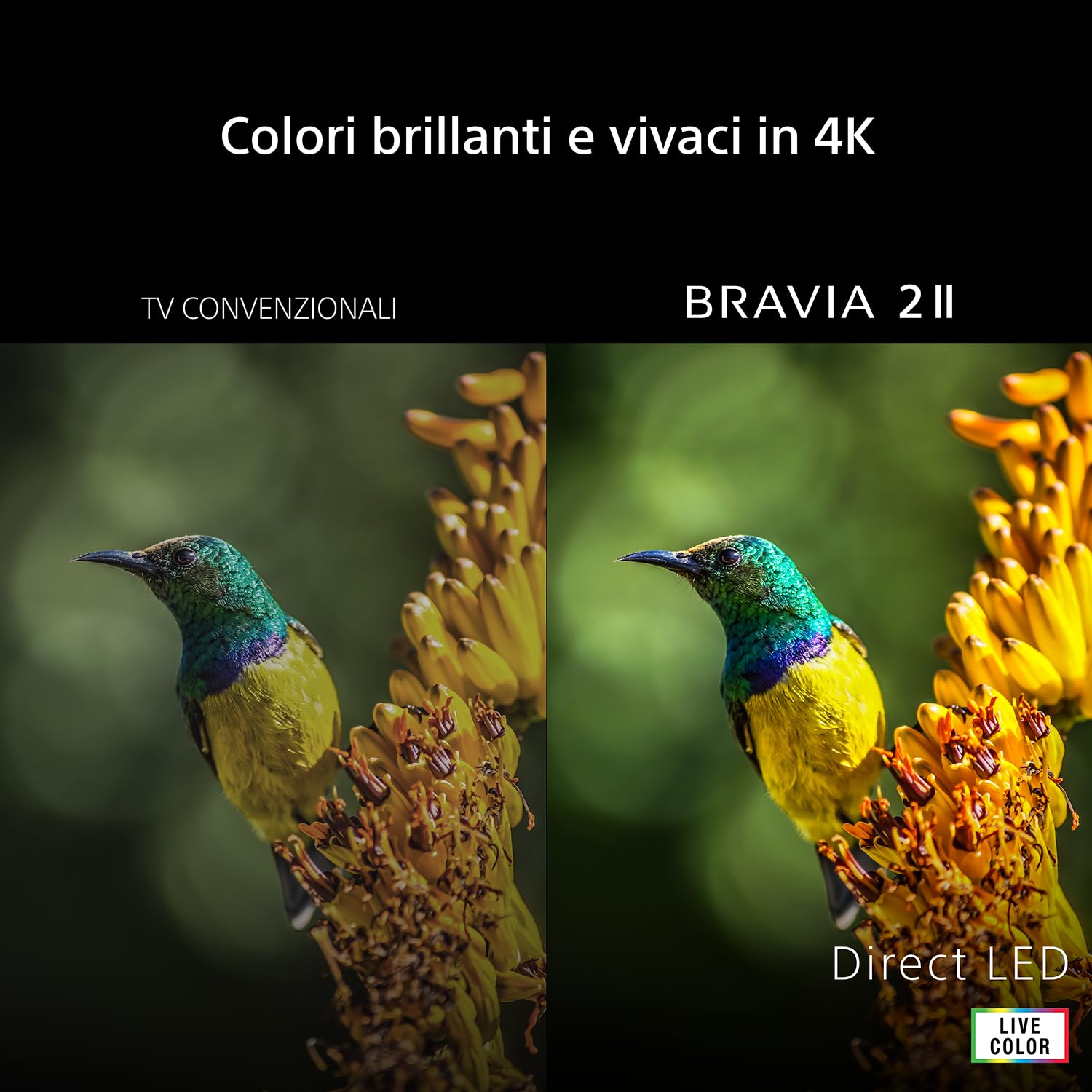 Sony BRAVIA 2Ⅱ 50", 4K Smart TV (Google TV), Processore X1,4K Upscaling, Televisione con Dolby Atmos e DTS:X, compatibile con PS5, 50S20M2, Modello 2026