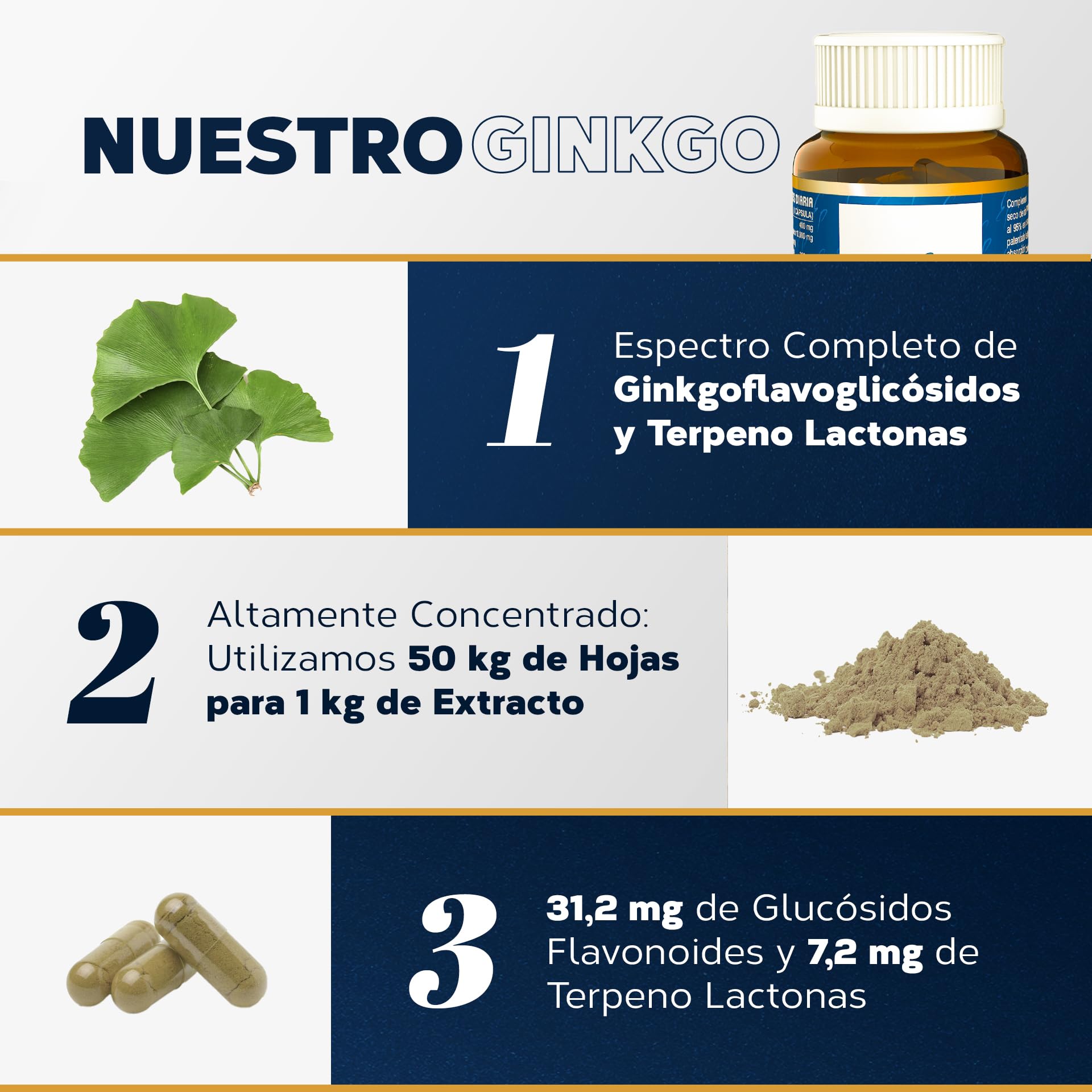 Ginkgo Biloba Estado Puro 6500mg | Extracto Estandarizado y Máxima Concentración | 24% de Flavonoides y 6% de Terpenos | Memoria y Concentración + Circulación | 80 Cápsulas de Tongil (Lote de 1)