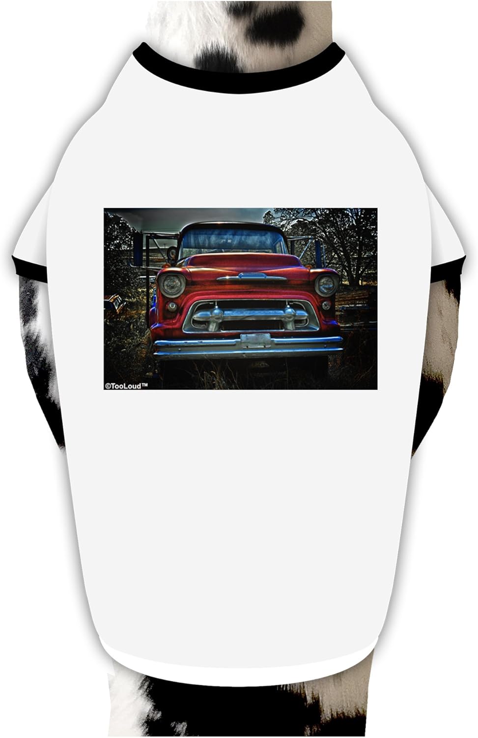 TOOLOUD Vintage Truck Dog Shirt White with Black XL