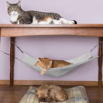 Amazon.co.jp: セダンです ペットハンモック 車です 猫