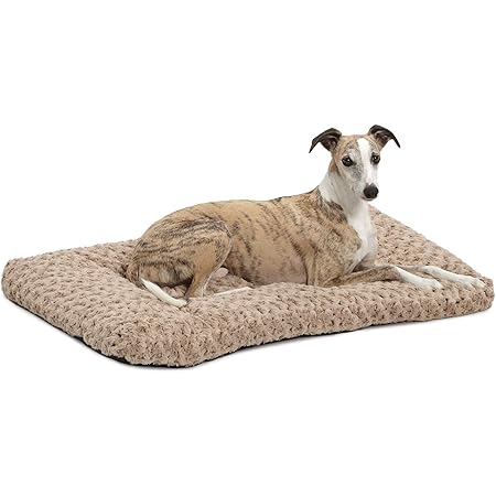 flat dog bed amazon