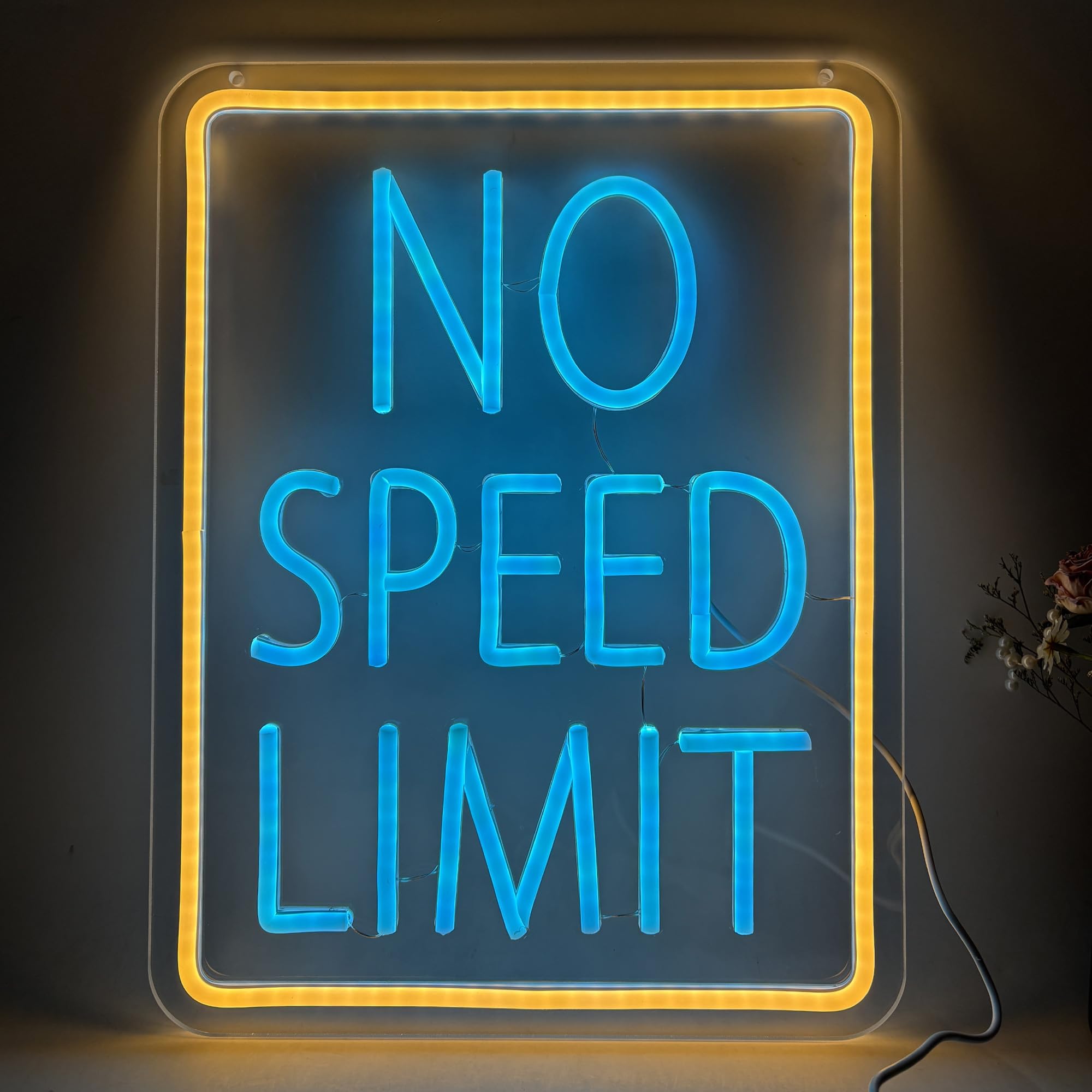 No Speed Limited LED Neon Sign, Cool Garage Sign, Race Cars Themed Bedroom Decor USB Powered Neon Light for Man Cave, Game Room, Teen Boy Decor Bar &amp; Auto Lovers Holiday Birthday Gift