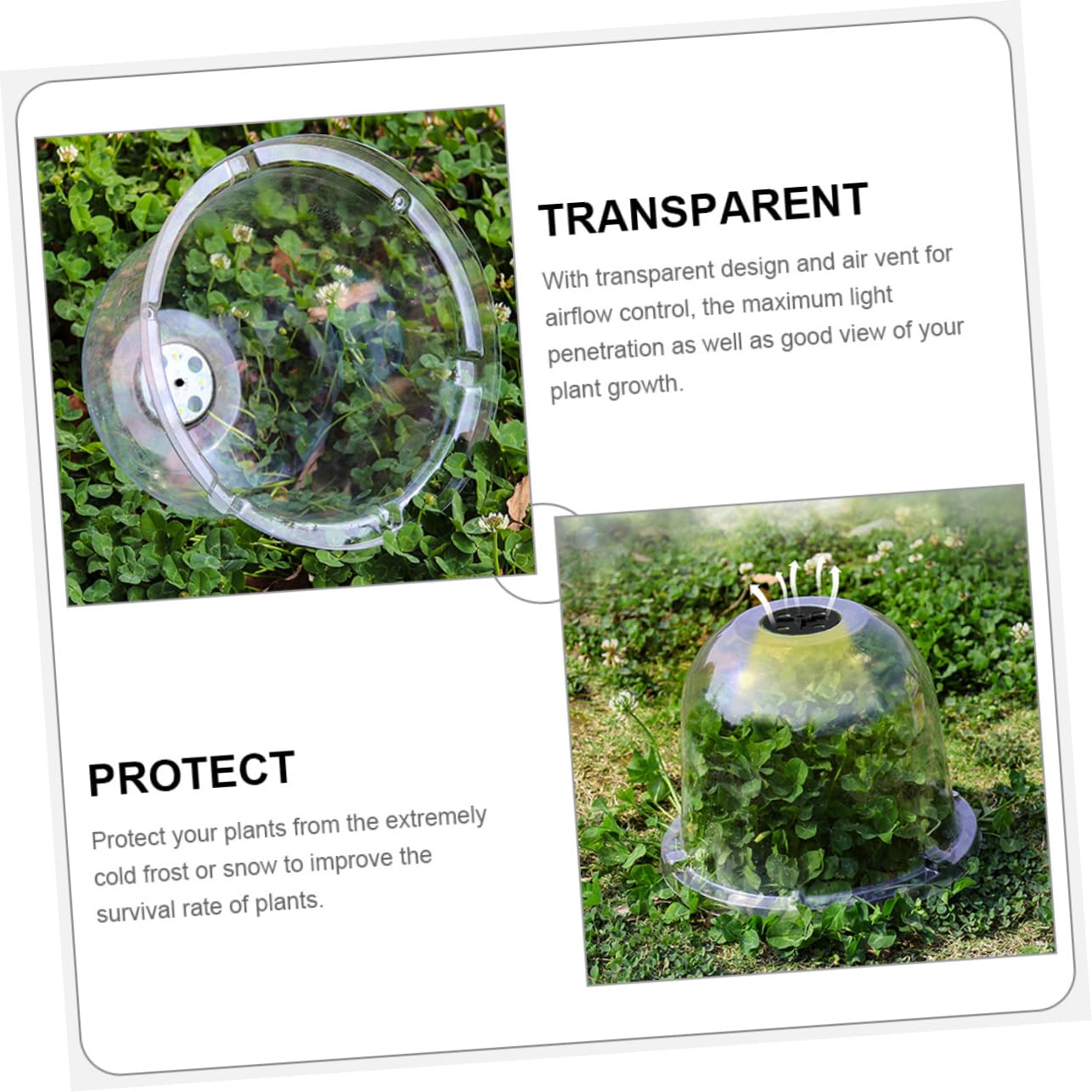 HANABASS 6 Pièces Cloche de Jardin Transparent pour Plantes Protection Gel et Humidité Couverture Domique pour Saine des Plantes pour Conditions Climatiques Variées