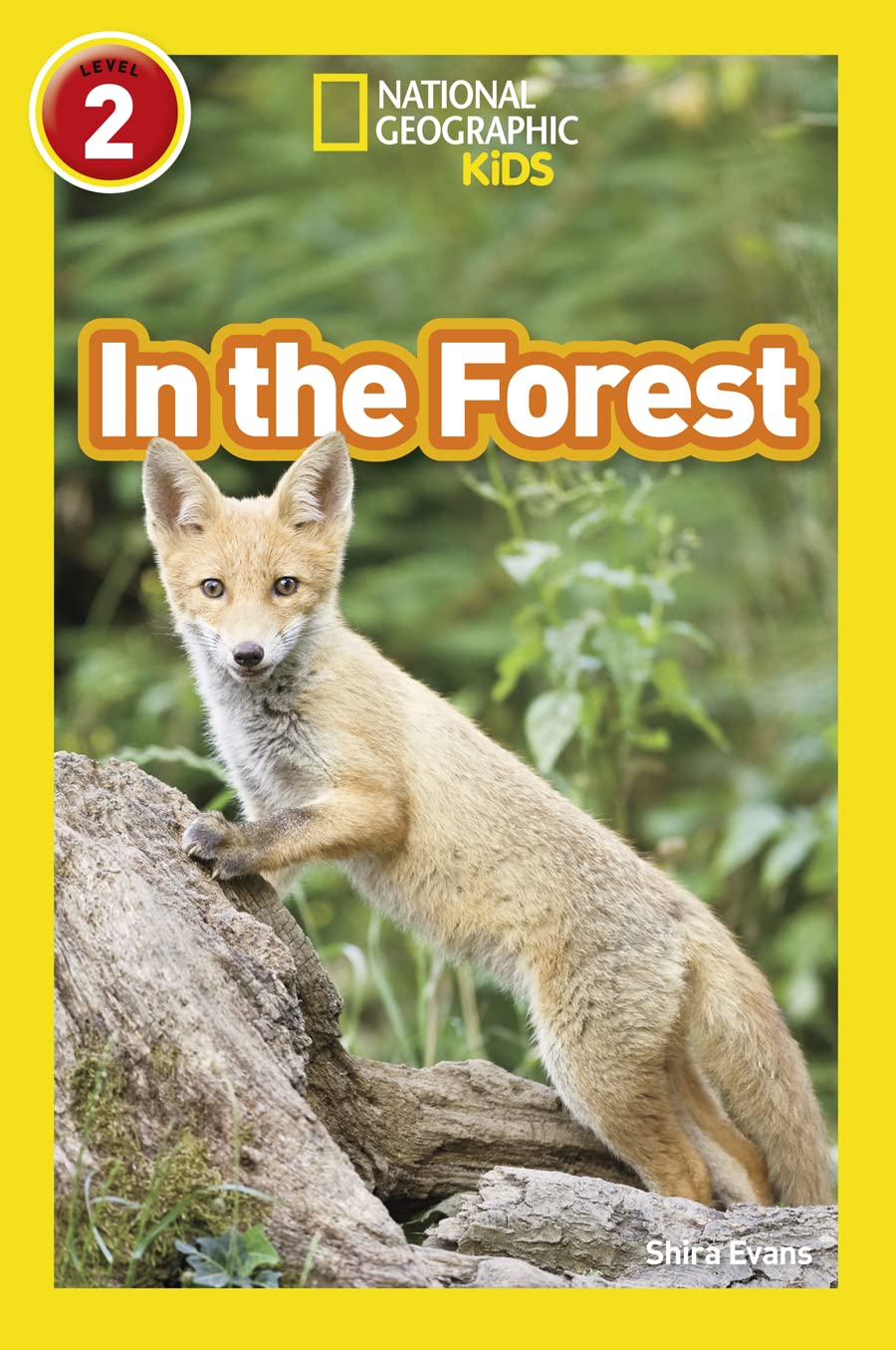 In the Forest: Level 2 (National Geographic Readers)