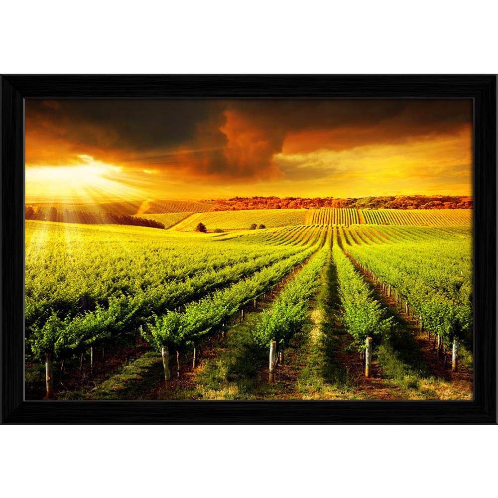 ArtzFolio Sunset Over A Barossa Vineyard Canvas Painting Black Wooden Frame 17.4inch x 12inch (44.1cms x 30.5cms)