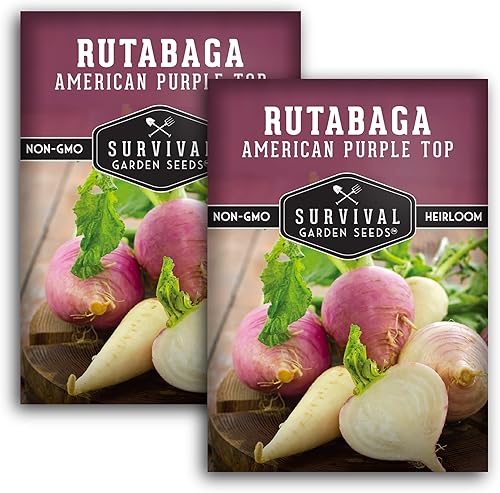 Survival Garden Seeds - Semilla de Rutabaga púrpura americana para plantar - 2 paquetes con instrucciones para plantar y cultivar Brassica Napus en