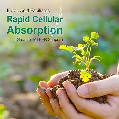 Miniatura 5 de Vital Earth Minerals Vitamina súper líquida de 32 onzas líquidas Paquete de 2 unidades Suministro de 1 mes cada uno alta potencia sin azúcar sin