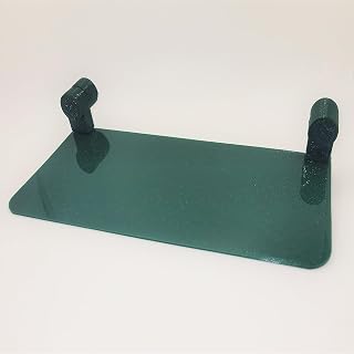 Lotl Lounge Ledge | Aquarium-Safe Magnetic Ledge for Axolotls & Aquarium Pets | Evergreen