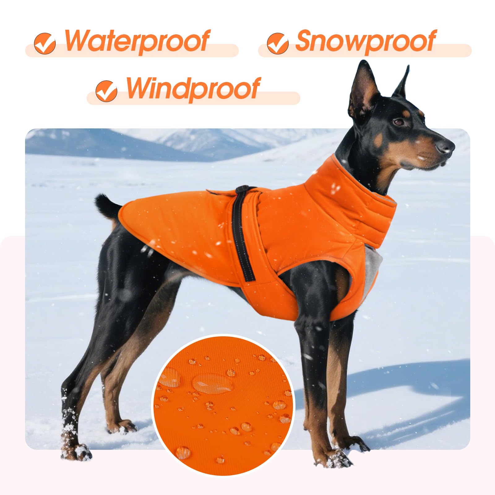 Abrigos para clima frío para perros