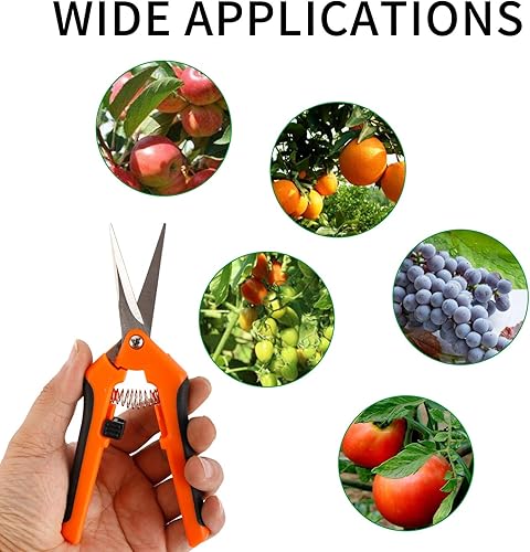 Miniatura 6 de YaeCCC Paquete de 12 tijeras de podar de mano de jardinería de 6.5 pulgadas con cuchillas de acero inoxidable