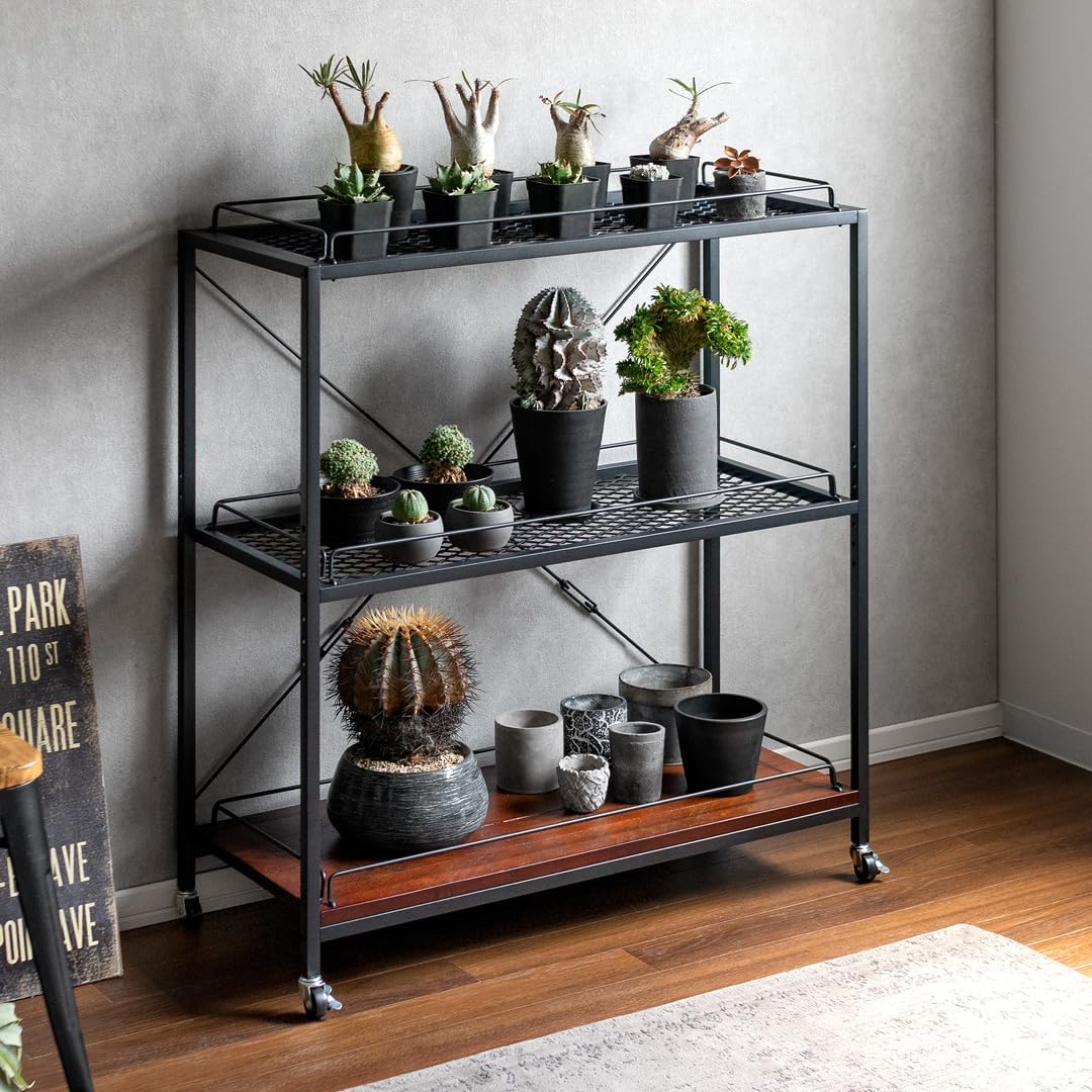 Amazon｜エア・リゾーム 棚 ラック スチールラック オープンシェルフ