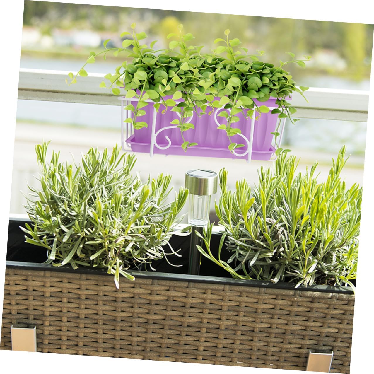 GALPADA Rectangular Hanging Planter Pot Set with Tray, Medium Purple Flower and Vegetable Garden Container, White Iron Frame Balcony Railing Planting Box for Indoor Outdoor Gardening