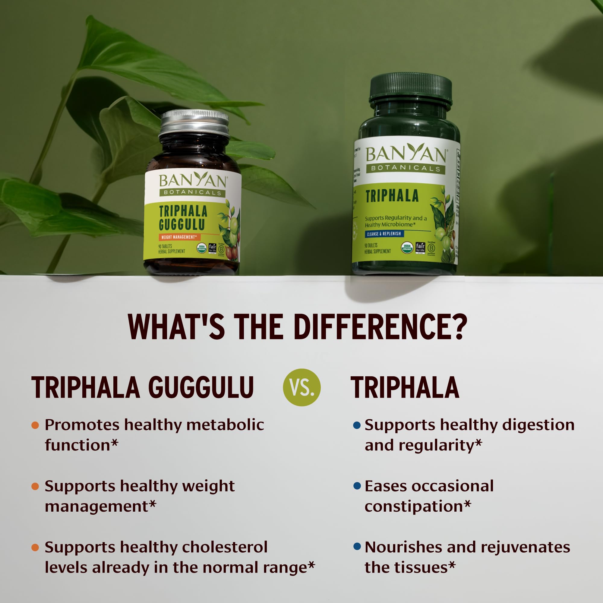 Banyan Botanicals Organic Triphala Guggulu – Deep Tissue Detox & GI Tract Support – Advanced Herbal Cleansing Supplement with Guggulu Resin – Systemic Waste Elimination – 90 Tablets – USDA Organic — Amazon image 4