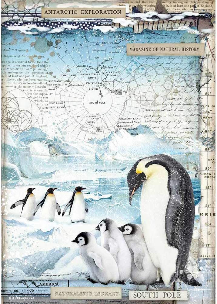 Stamperia Penguins, Arctic Antarctic - Rice Paper - Penguins
