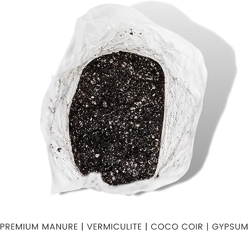 Miniatura 2 de Paquete de kit de cultivo de hongos  Sustrato  bolsas de cultivo de granos para hongos amantes del estiércol