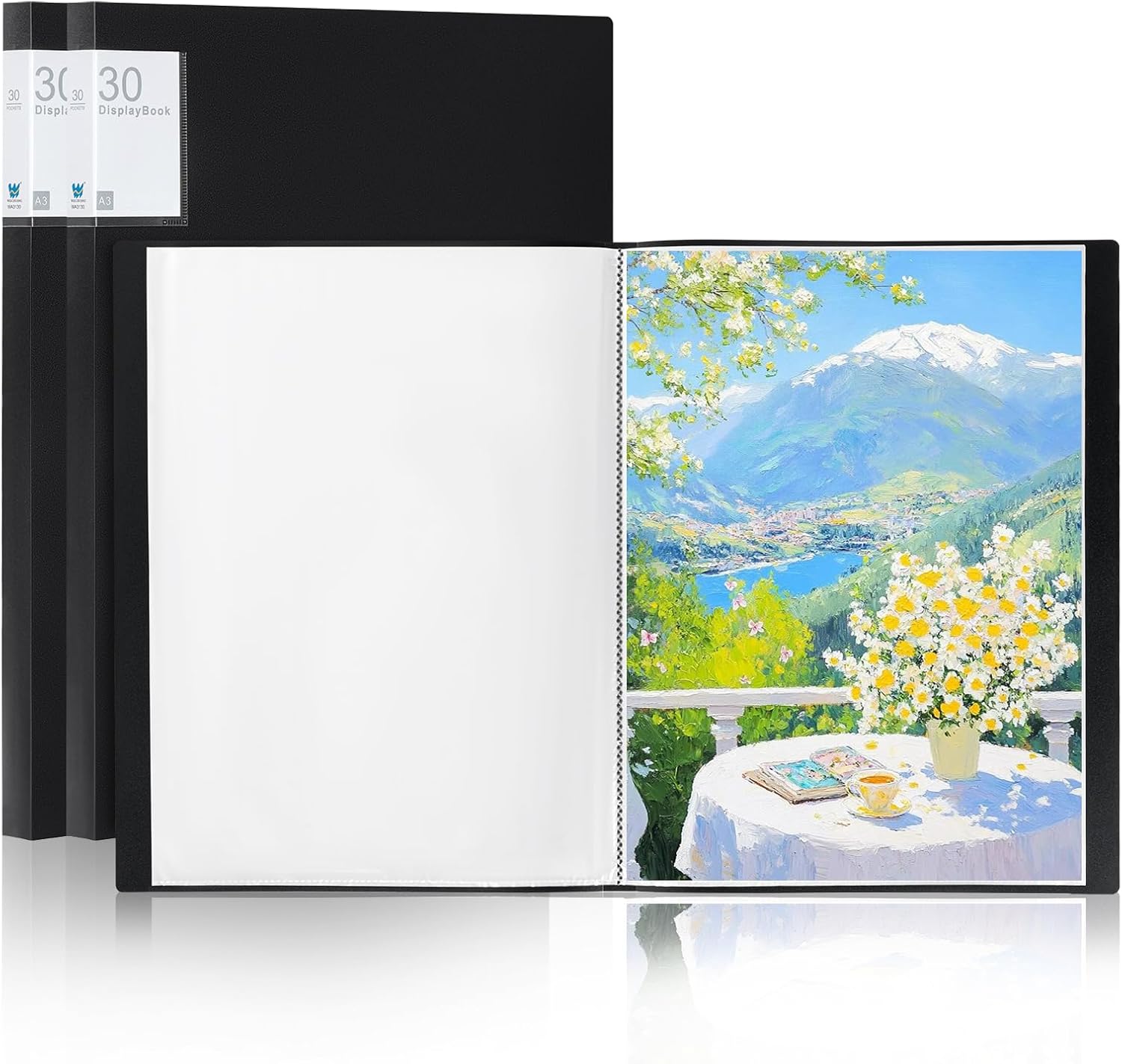 2 Pack Art Portfolio Folder 12.6 x 17.1'', 30 Pockets Portfolio Binder with Clear Plastic Sleeves, 60 Pages Display, Large A3 Presentation Book for Artwork Storage (Black)