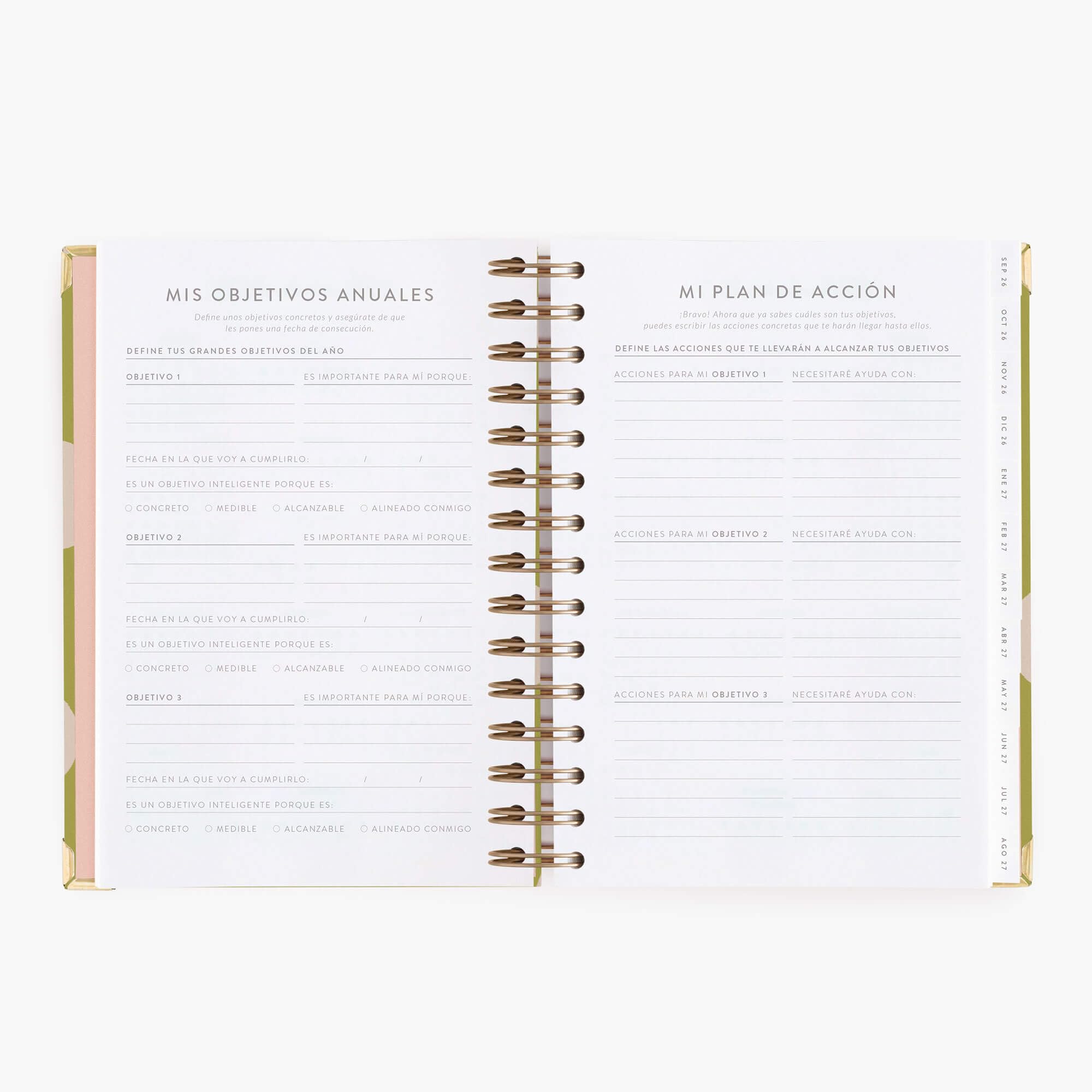 Charuca Kalender 26-27, akademischer Tagesansicht, fester Einband mit goldenen Details, mittelgroß, inklusive Stofftasche und Lesezeichen, hergestellt in Spanien (Pistacho Dreams)