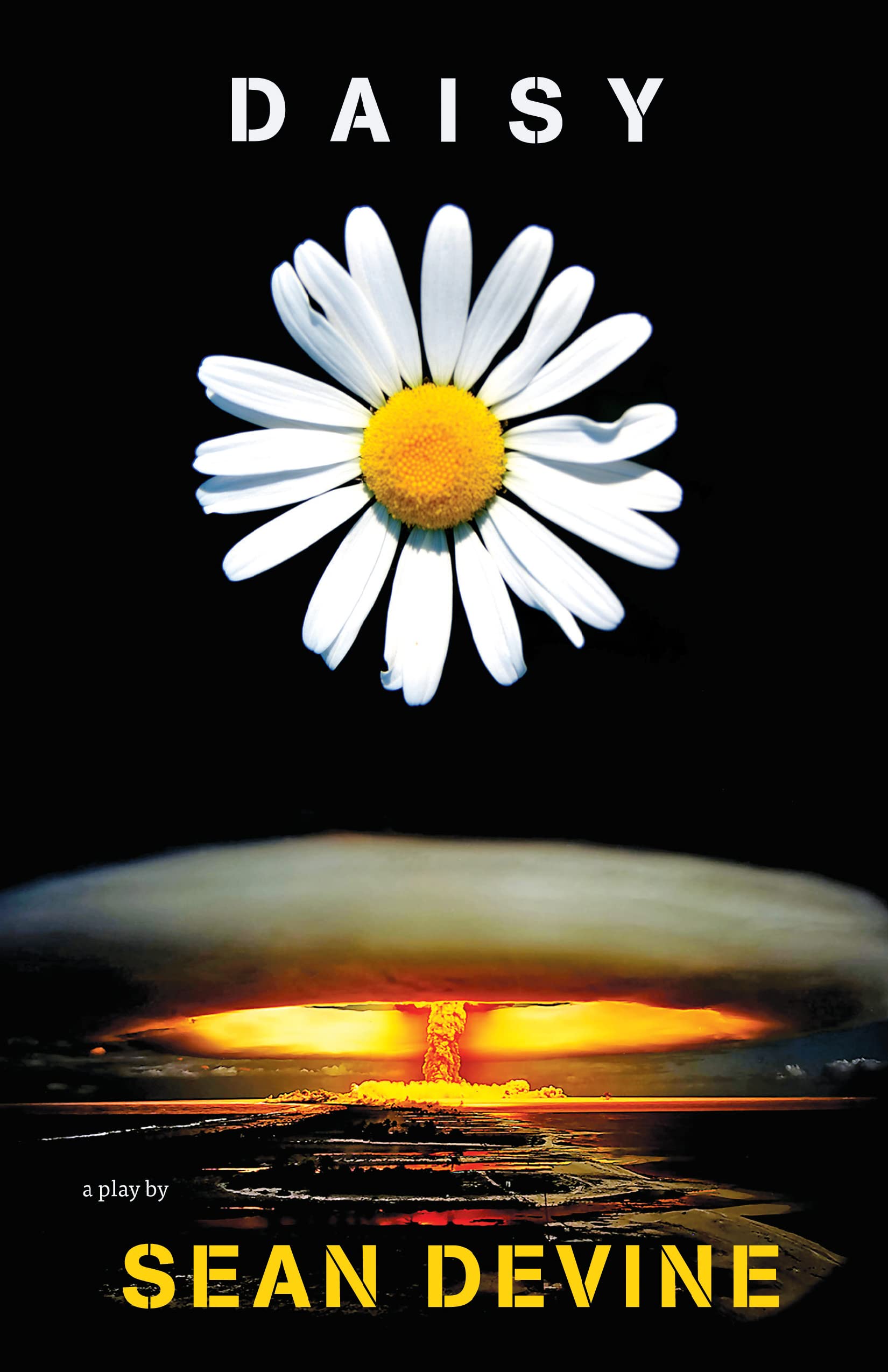 Buy Daisy: Different Facets — BookShops.in