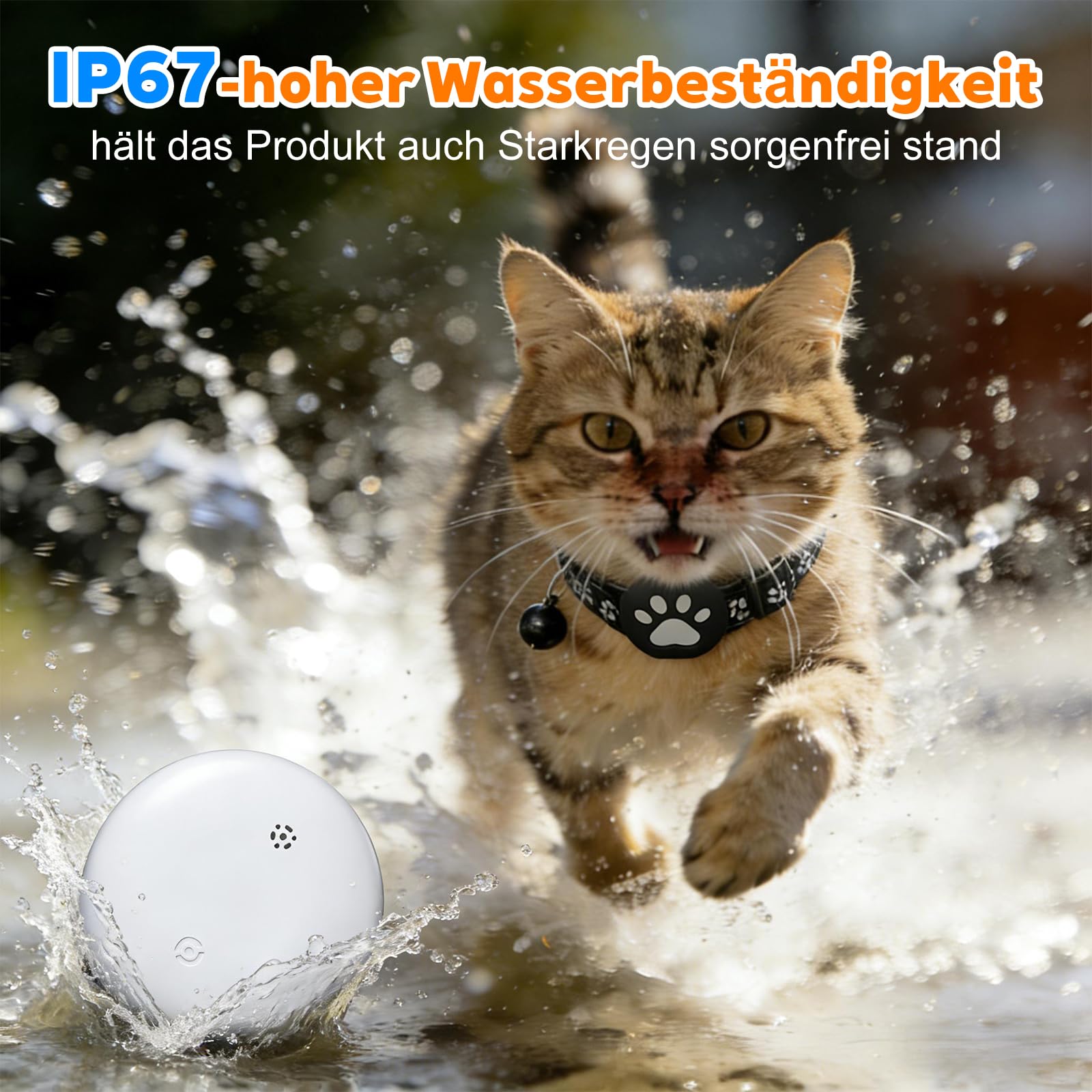Katzenhalsband für kleine Katze und Hund (iOS & Android), Mini Tracker Katze Ohne ABO, SIM-Karte, Keine monatlichen Gebühren, Echtzeit-Tracking katzentracker (Halsband + Tracker Weiß)