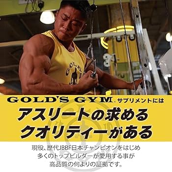 GOLD'S GYM FAT BLOCK 300カプセル　2個セット GOLD'S GYM FAT BLOCK 300カプセル 2個セット GOLD'S GYM FAT BLOCK