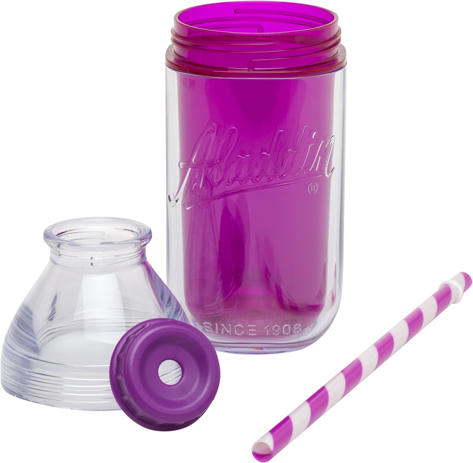 Aladdin 0 47 Litre Berry Insulated Milk Bottle Tumbler | Desertcart  Mauritius