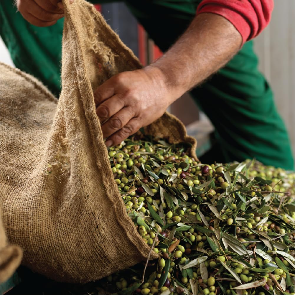 Iliada Kalamata PDO Extra Virgin Olive Oil, 1Lt | Multi-awarded | Single Region 100% Greek | Monovarietal Koroneiki | Cold Press | Polyphenol Rich | Chef's Favorite - Image 5