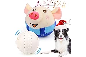 Mityrain Dog ball: Jumping and Rolling Interactive Dog Toy