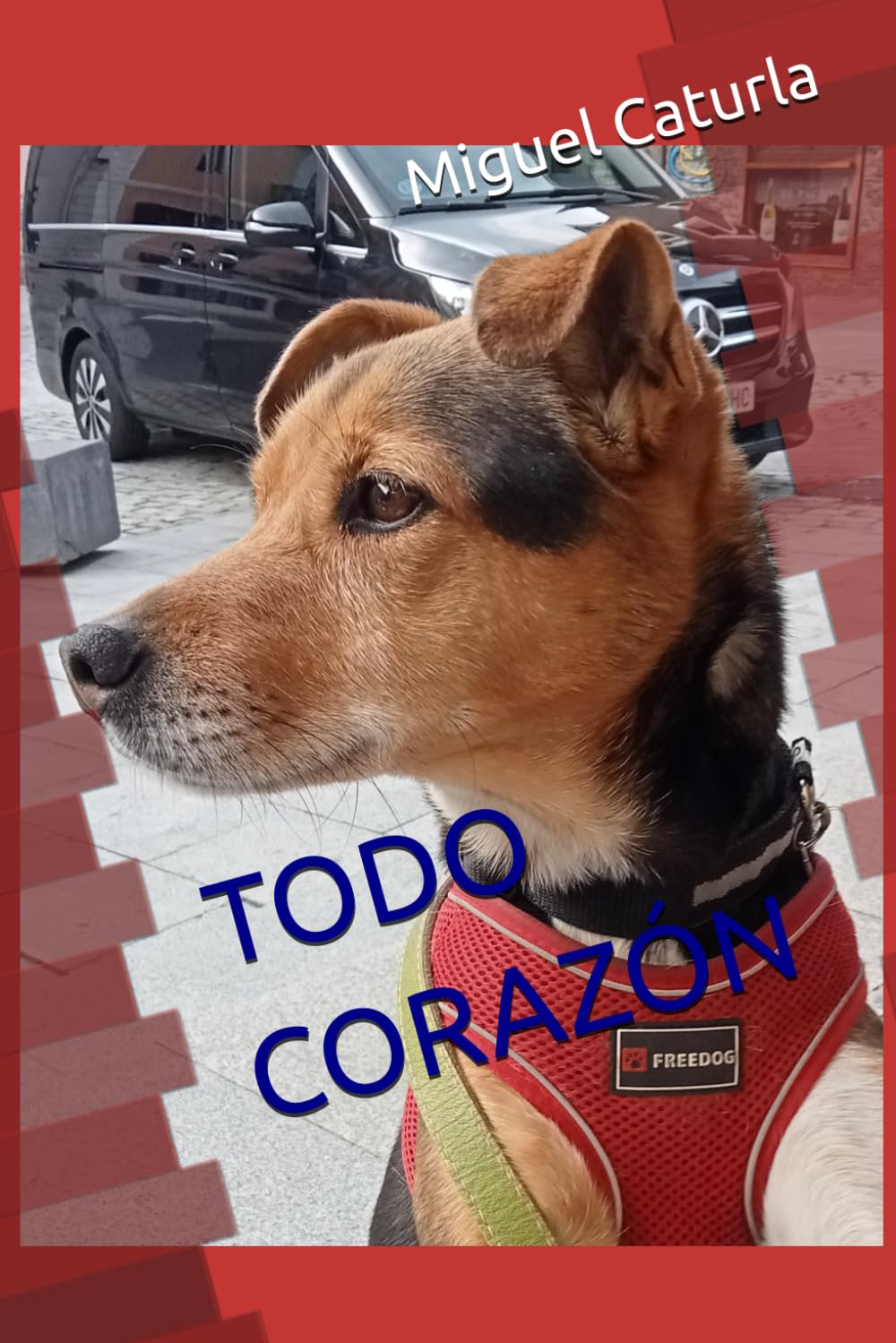 TODO CORAZÓN