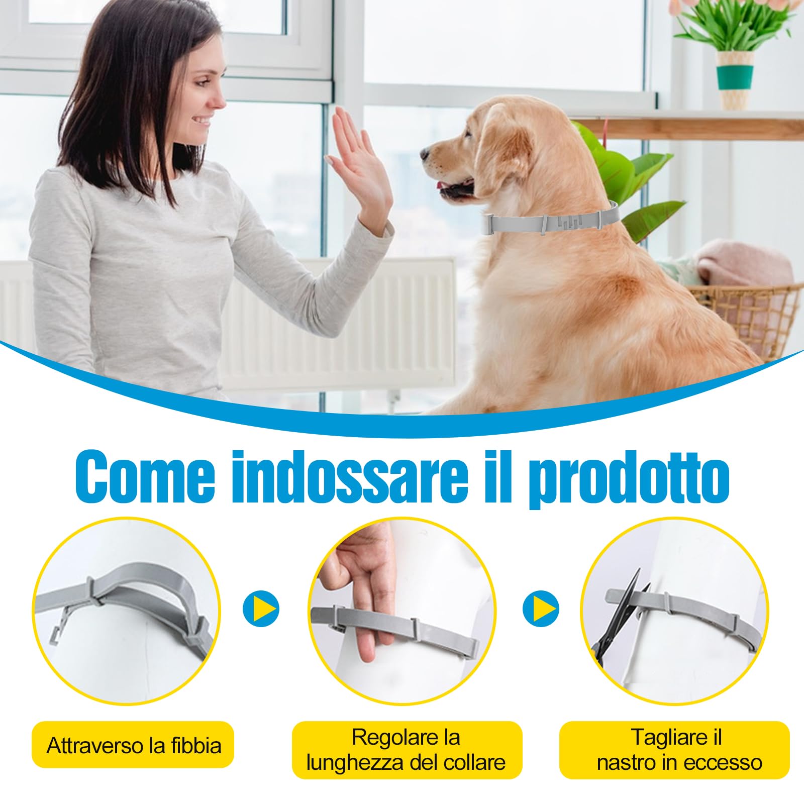 2 Pezzi Antiparassitario Per Cani,Collare Antipulci per Cane,Realizzato Con Oli Essenziali Naturali, Sicuro ed Efficace, Universale per Cani e Gatti,Protegge per 12 Mesi (cani di grossa taglia)