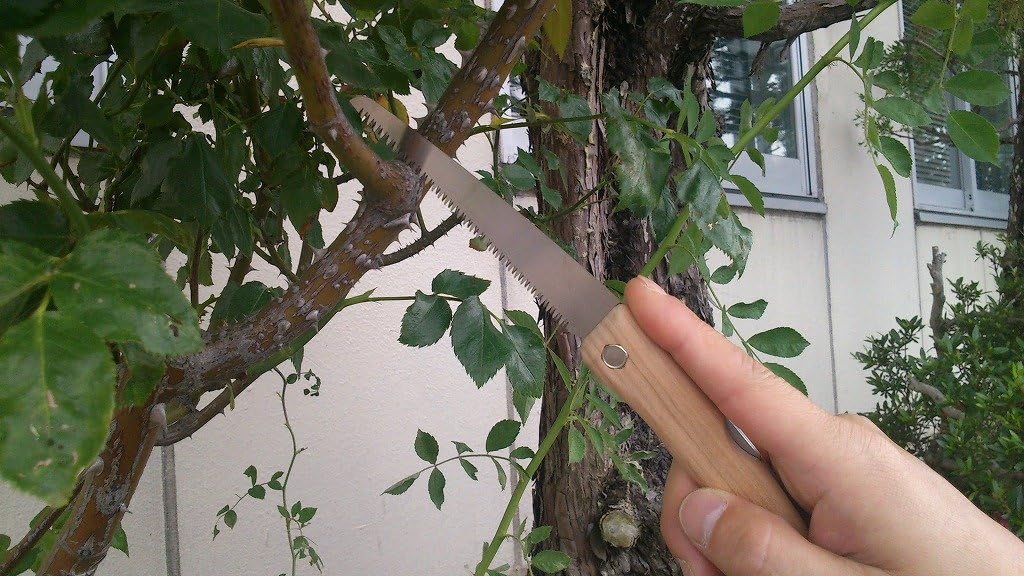 Mikikajiya Village TS144 Plant Hunter Mini Main Unit