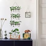XXXFLOWER Station de propagation avec support en bois 5 Tubes d'essai en verre 3 Planters à niveaux Terrarium mural pour la maison Bureau Plante Hanger Vases de fleurs Décor mural Découpes hydroponiques
