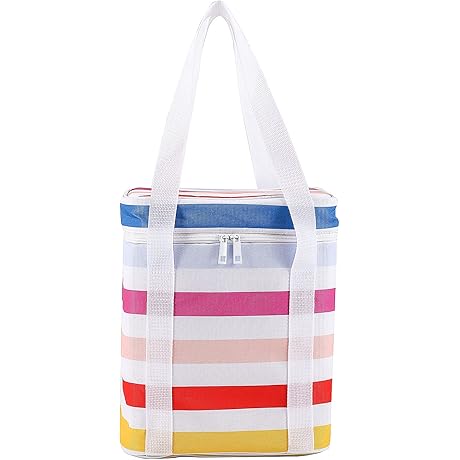 4-Bottle Wine Bag: The Perfect Cooler for Your Bogg Bag