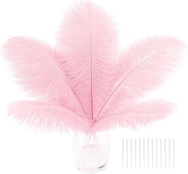 SOGUGOM Light Pink Craft Ostrich Feathers, 30PCS 8-10 inch