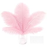 SOGUGOM Pink Craft Ostrich Feathers - 30PCS 6-8 inch Bulk Ostrich Feathers Kit for Centerpieces, Kindergarten Crafts, Hats and Party Centerpieces(Light Pink)