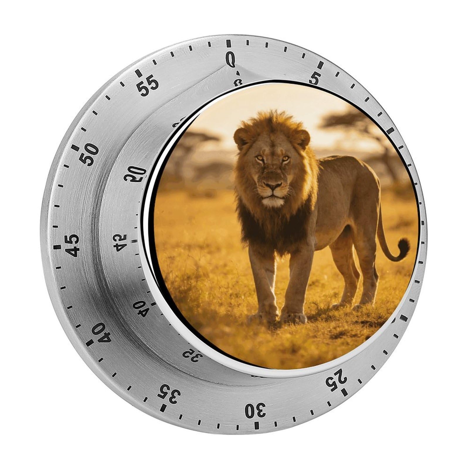 Wild Lion of The Wilderness Timer Exquisite Stainless Steel Body Desk Visual Timer with Loud Alarm 60-Minute Mechanical Countdown Timers Magnetic Backing Cooking Kitchen Timers for Work